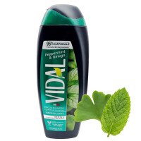 Vidal Docciaschiuma Menta e Ginkgo 250 m gallery