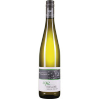 2024 | Riesling Spätlese trocken 0, gallery