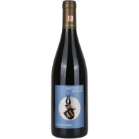 2022 | Spätburgunder 0,75 Liter (Bi gallery
