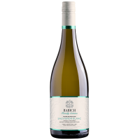 2024 | Sauvignon Blanc 0,75 Liter | Babi gallery