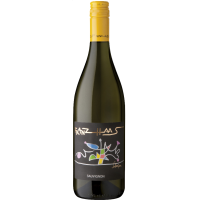 2022 | Sauvignon DOC 0,75 Liter | Franz  gallery