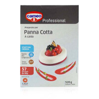 Cameo Panna Cotta preparato Professional gallery