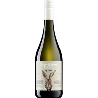 2025 | Sauvignon Blanc "Hase"  gallery